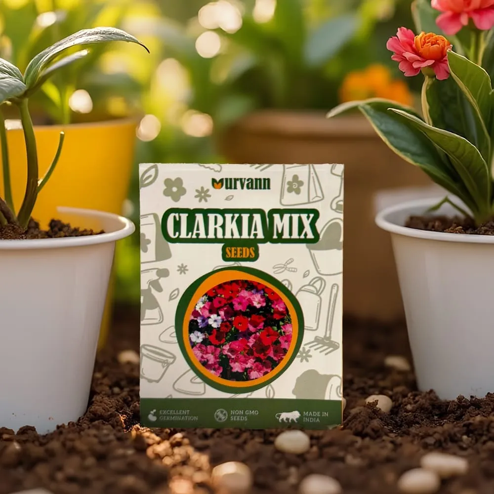 Clarkia Mix Flowers Seeds - GMO Free | Excellent Germination | Easy to Grow | Vibrant Blooms