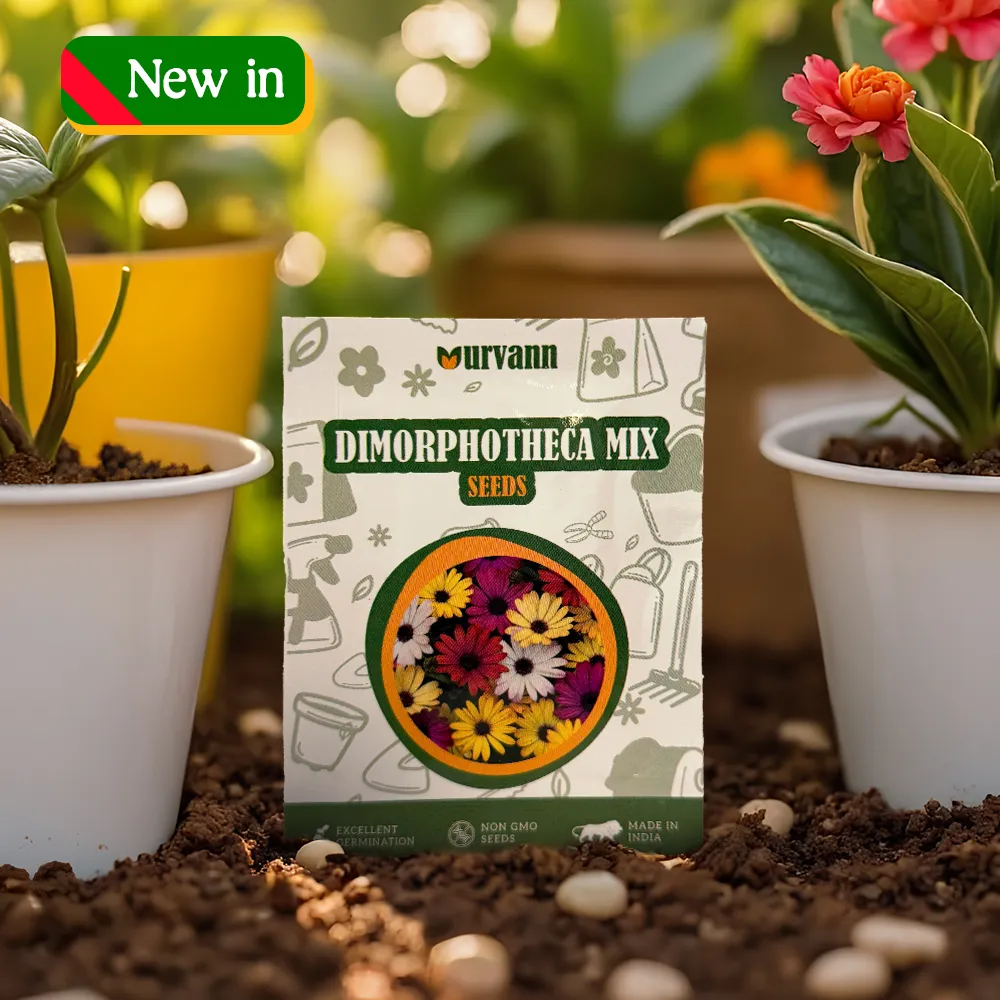 Dimorphotheca Mixed Seeds - GMO Free | Excellent Germination | Easy to Grow | Vibrant Blooms