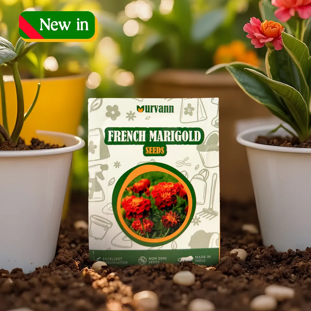 French Marigold Seeds - GMO Free | Excellent Germination | Easy to Grow | Vibrant Blooms