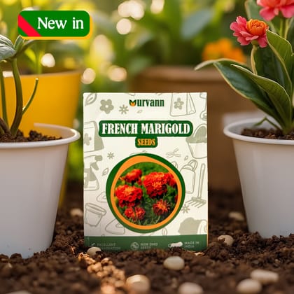 Buy French Marigold Seeds ? GMO Free | Excellent Germination | Easy to Grow | Vibrant Blooms Online | Urvann.com