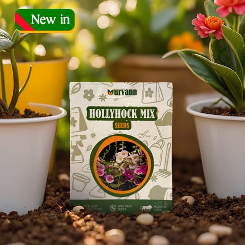 Hollyhock Seeds - GMO Free | Excellent Germination | Easy to Grow | Vibrant Blooms