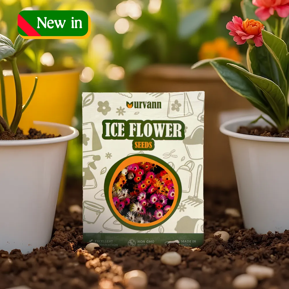 Ice Plant Seeds - GMO Free | Excellent Germination | Easy to Grow | Vibrant Blooms