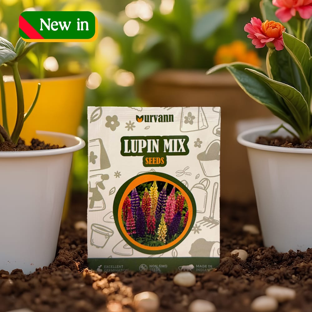 Lupin Seeds - GMO Free | Excellent Germination | Easy to Grow | Vibrant Blooms