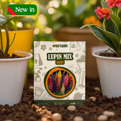 Lupin Seeds - GMO Free | Excellent Germination | Easy to Grow | Vibrant Blooms