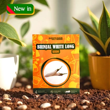Buy Brinjal White Long Seeds ? GMO Free | Excellent Germination | Easy to Grow | Disease Resistance Online | Urvann.com