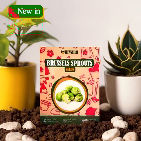 Brussels Sprouts Seeds - GMO Free | Excellent Germination | Easy to Grow | Hand Picked