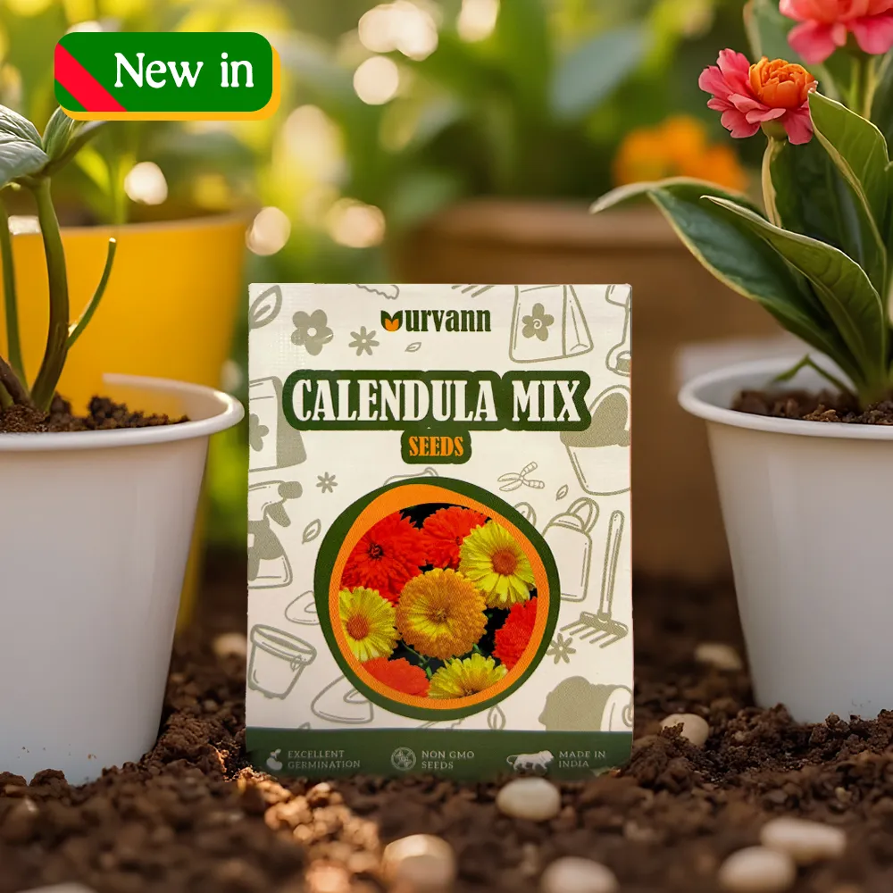 Calendula Seeds - GMO Free | Excellent Germination | Easy to Grow | Vibrant Blooms