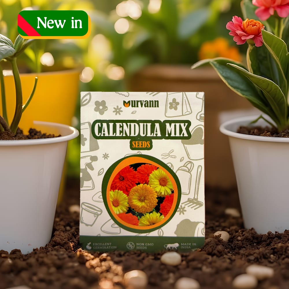 Calendula Seeds - GMO Free | Excellent Germination | Easy to Grow | Vibrant Blooms