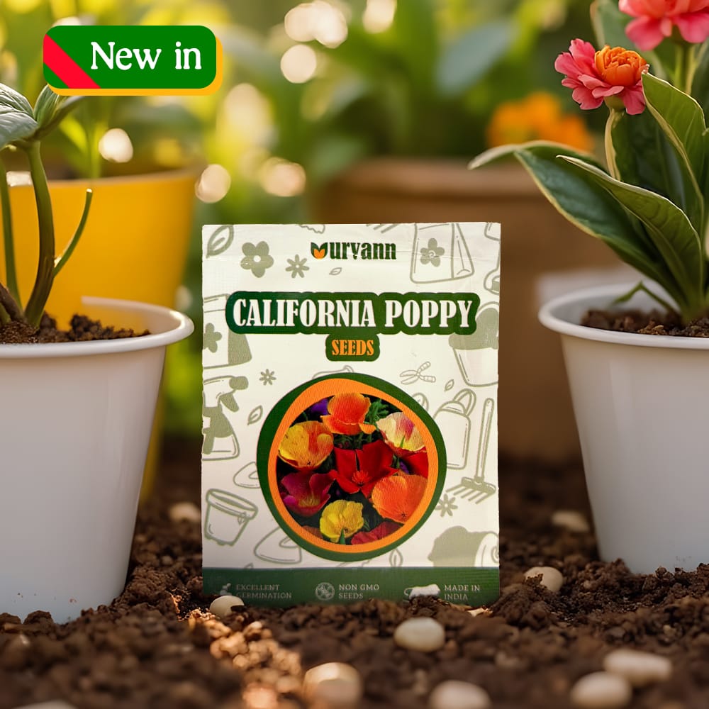 California Poppy Seeds - GMO Free | Excellent Germination | Easy to Grow | Vibrant Blooms