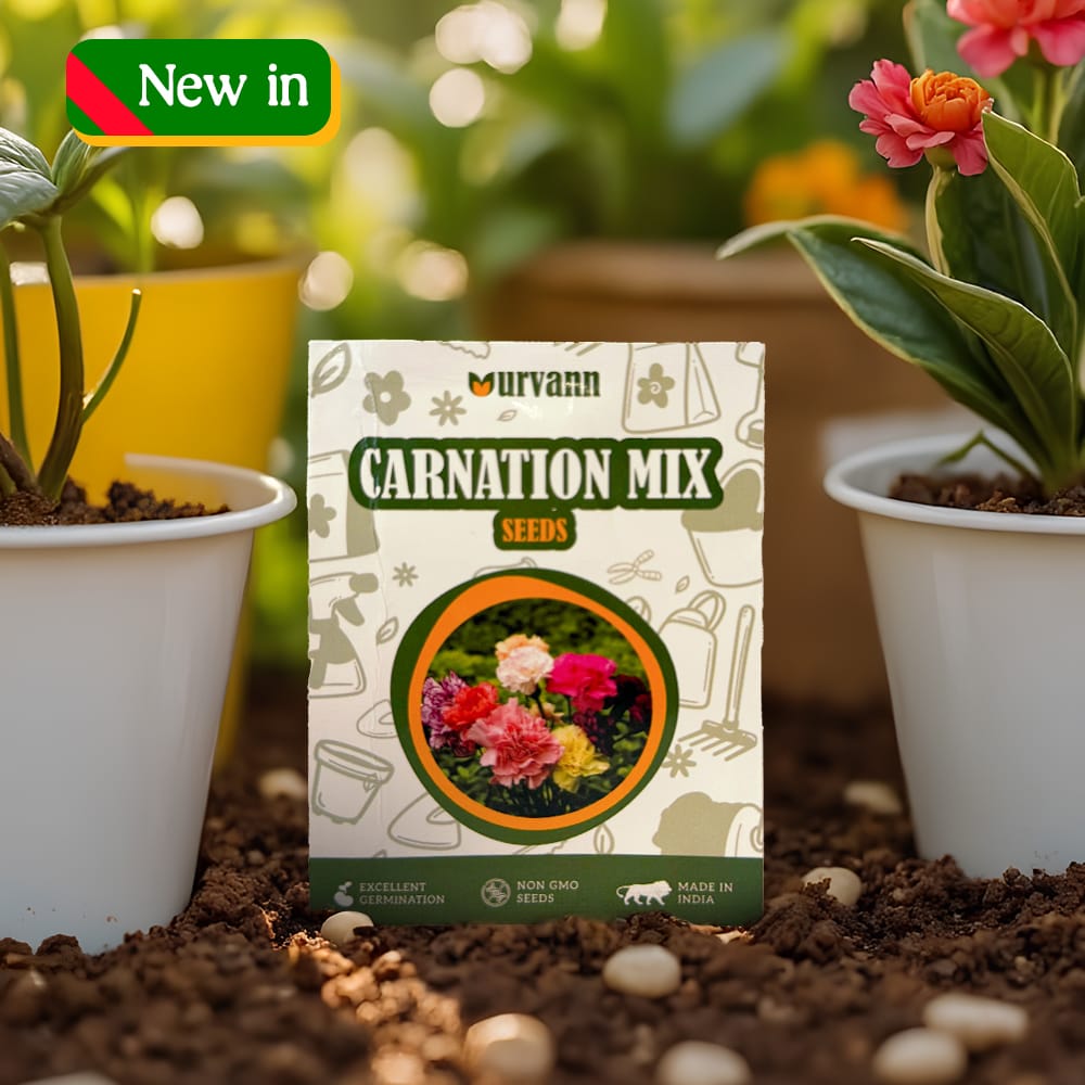 Buy Carnation Mixed Seeds ? GMO Free | Excellent Germination | Easy to Grow | Vibrant Blooms Online | Urvann.com Carnation Mixed Seeds - GMO Free | Excellent Germination | Easy to Grow | Vibrant Blooms