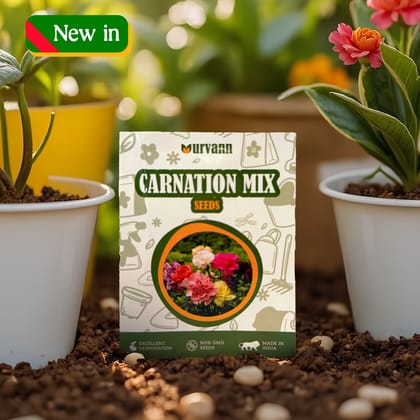 Buy Carnation Mixed Seeds ? GMO Free | Excellent Germination | Easy to Grow | Vibrant Blooms Online | Urvann.com