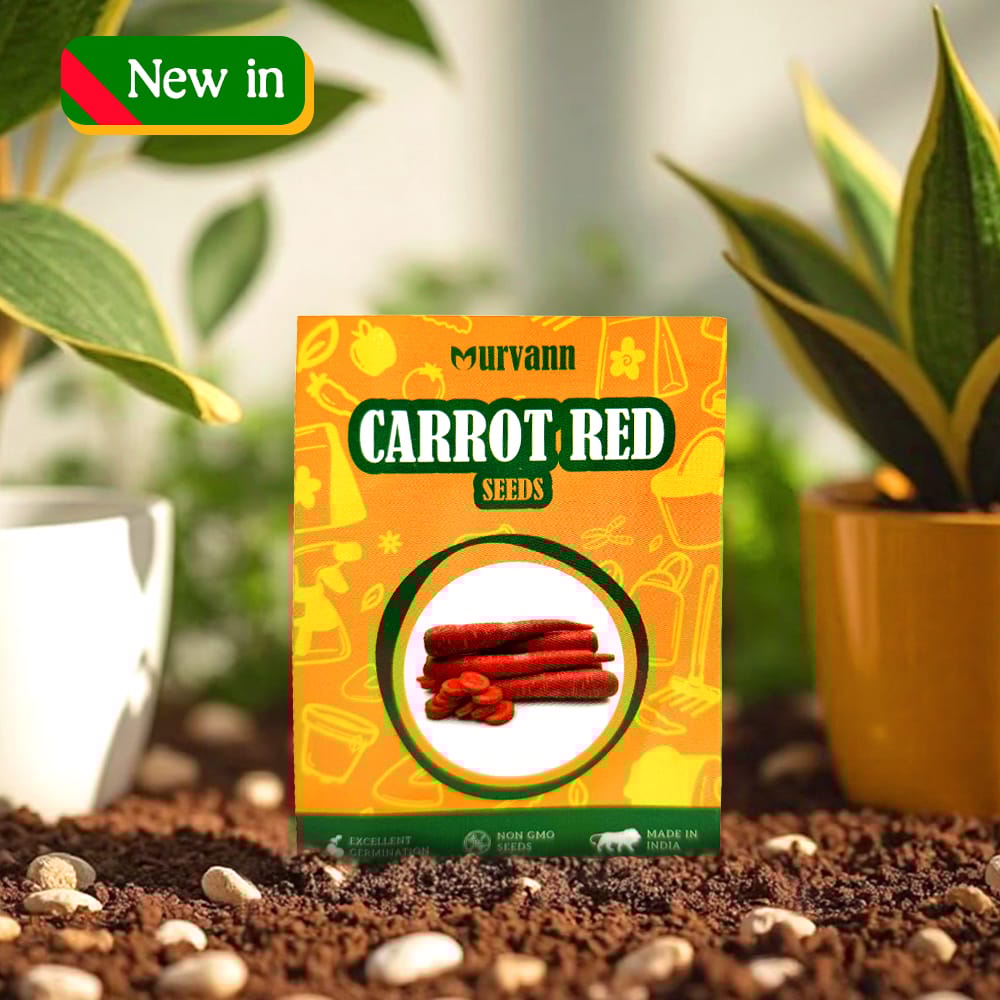 Carrot Red Seeds - GMO Free | Excellent Germination | Easy to Grow | Disease Resistance