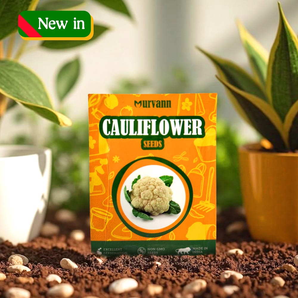 Cauliflower Seeds - GMO Free | Excellent Germination | Easy to Grow | Disease Resistance