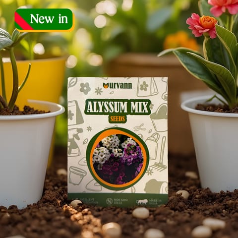Alyssum Mixed Seeds - GMO Free | Excellent Germination | Easy to Grow | Vibrant Blooms