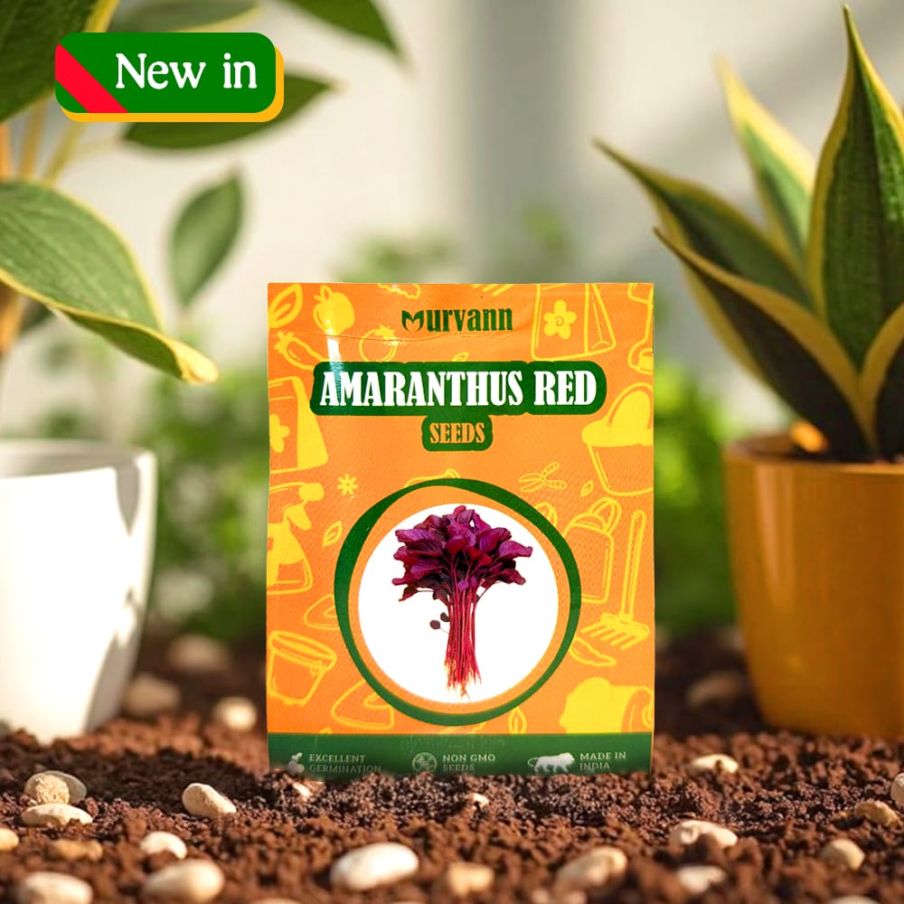 Amaranthus Red Vegatable Seeds - GMO Free | Excellent Germination | Easy to Grow | Disease Resistance