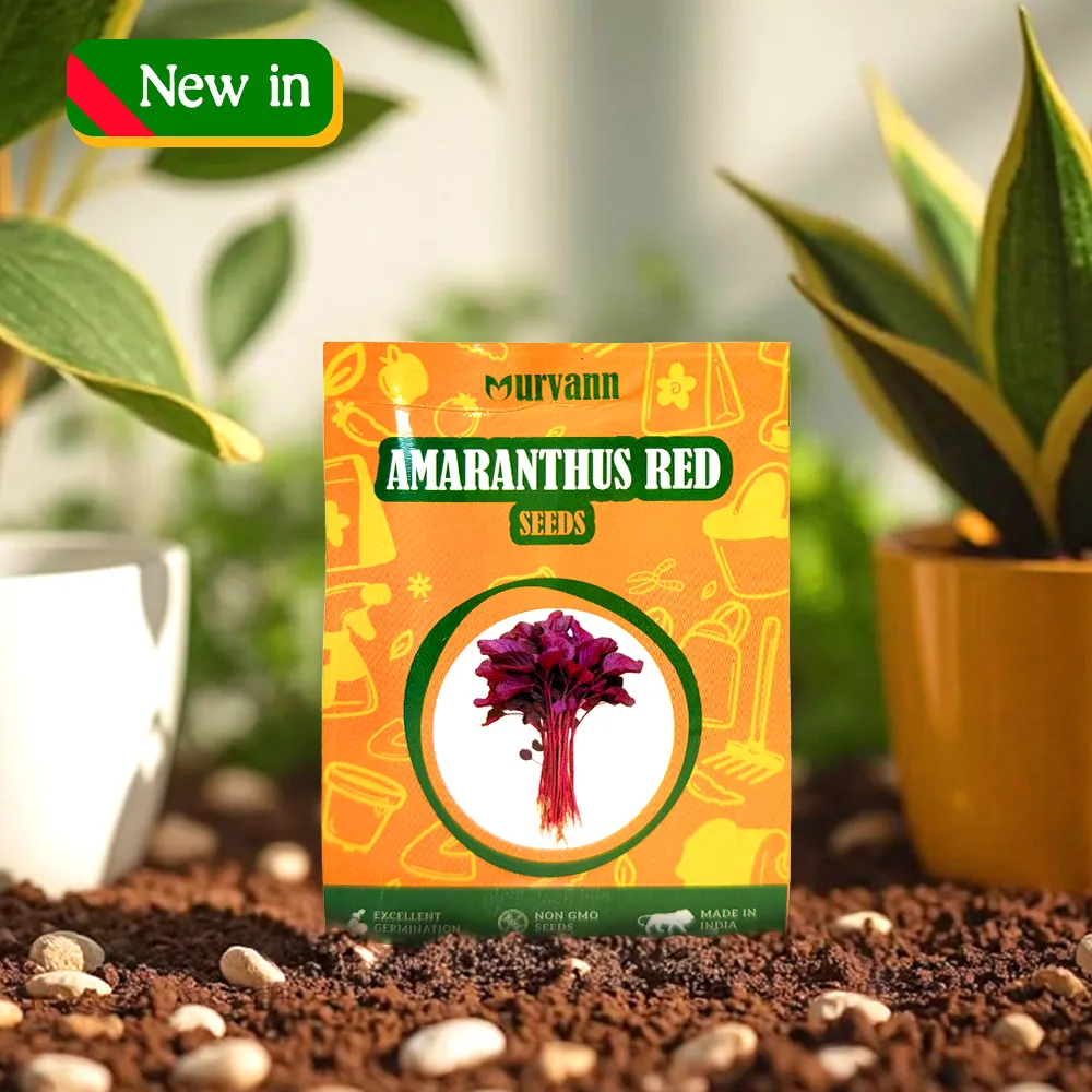 Amaranthus Red Vegatable Seeds - GMO Free | Excellent Germination | Easy to Grow | Disease Resistance