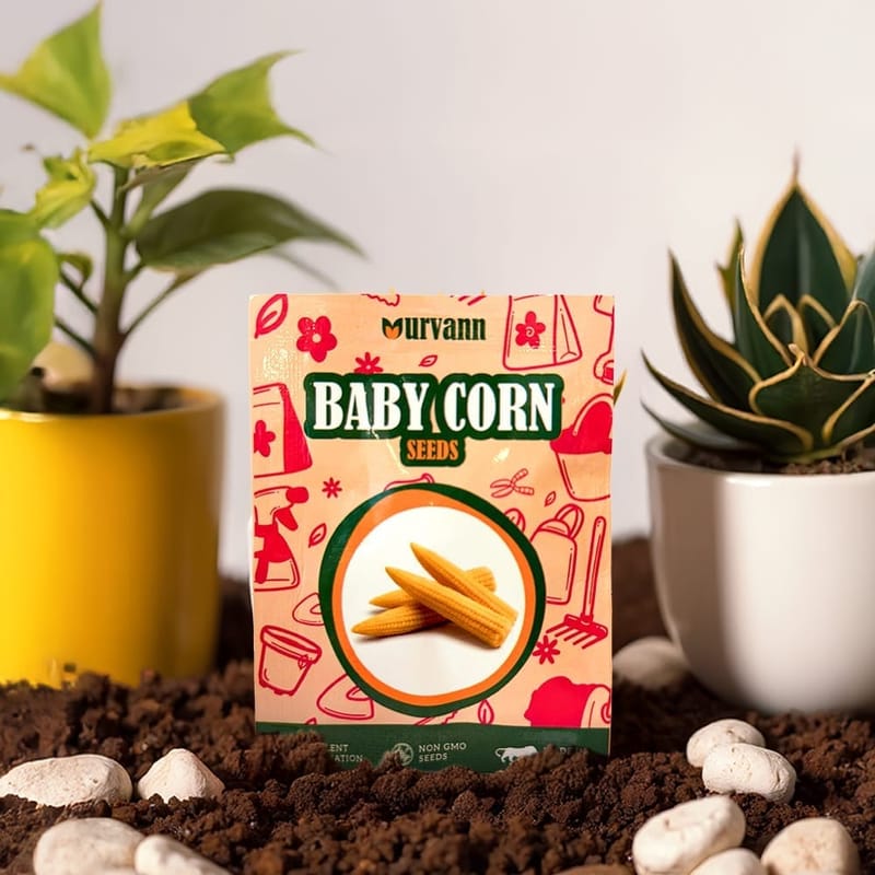 Baby Corn Seeds