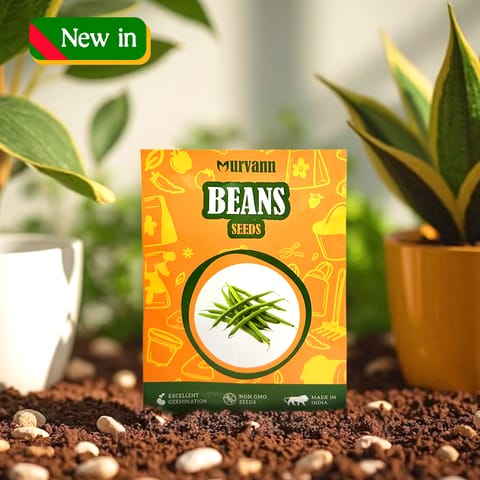 Beans Seeds - GMO Free | Excellent Germination | Easy to Grow | Disease Resistance