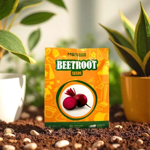 Beetroot Seeds - GMO Free | Excellent Germination | Easy to Grow | Disease Resistance