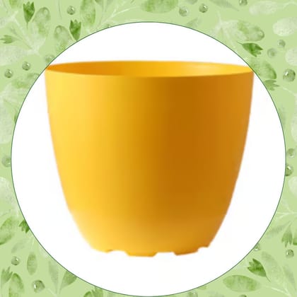 Free Gift - 4 Inch Yellow Premium Orchid Round Plastic Pot - Flash Sale