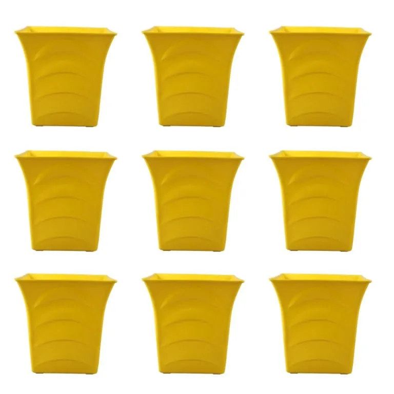 Set of 09 - 08 Inch Yellow Premium Tokyo Square Plastic Pot