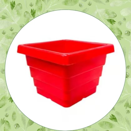 Free Gift - 4 Inch Red Premium Orchid Square Plastic Pot - Flash Sale