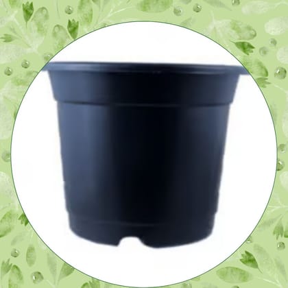 Free Gift - 4 Inch Black Nursery Pot - Flash Sale