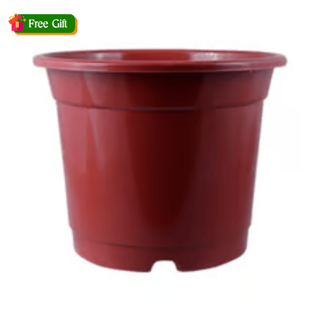 5 Inch Red Nursery Pot