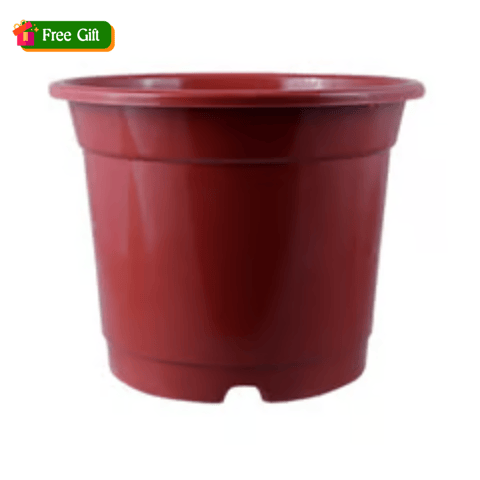 5 Inch Red Nursery Pot
