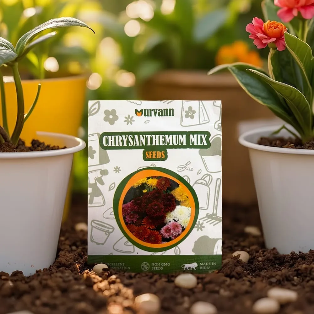 Chrysanthemum Mixed Seeds - GMO Free | Excellent Germination | Easy to Grow | Vibrant Blooms