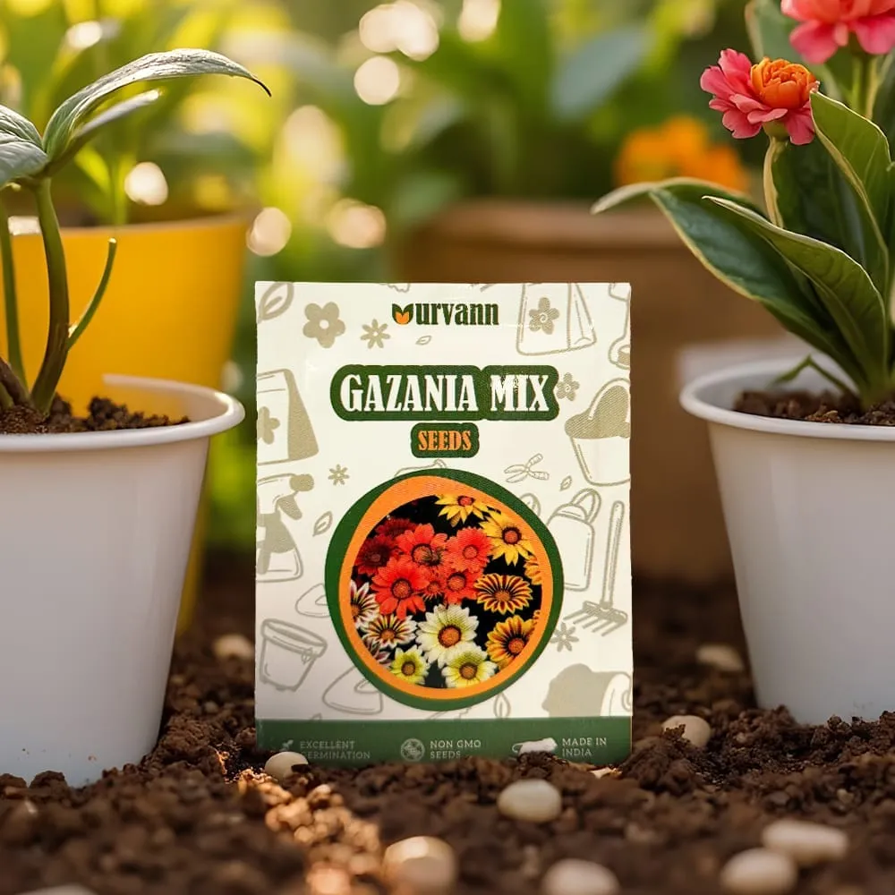 Gazania Seeds ? GMO Free | Excellent Germination | Easy to Grow | Vibrant Blooms