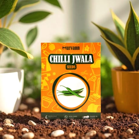 Chilli / Mirchi Jawala Seeds - GMO Free | Excellent Germination | Easy to Grow | Disease Resistance