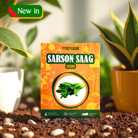 Sarso Saag Seeds – GMO Free | Excellent Germination | Easy to Grow | Disease Resistance - for veggies