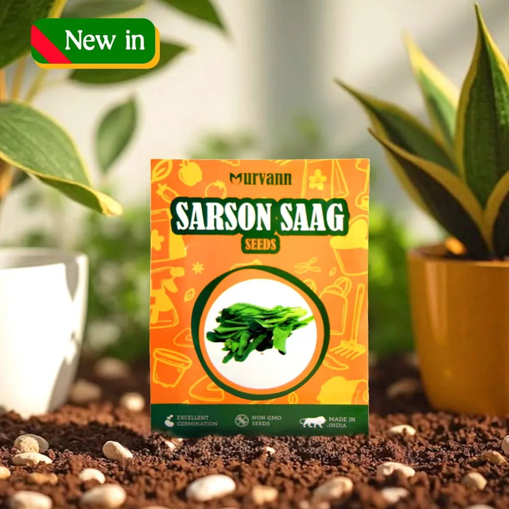Sarso Saag Seeds – GMO Free | Excellent Germination | Easy to Grow | Disease Resistance - for veggies