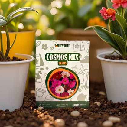 Buy Cosmos Mixed Flower Seeds – GMO Free | Excellent Germination | Easy to Grow | Vibrant Blooms Online | Urvann.com