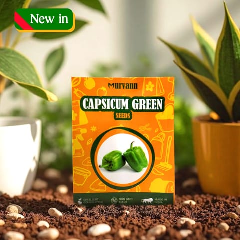 Capsicum Green Seeds – GMO Free | Excellent Germination | Easy to Grow | Disease Resistance - for veggies