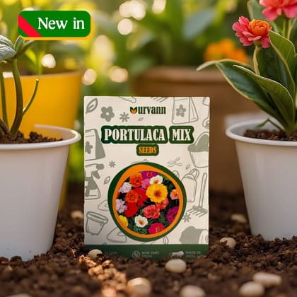 Buy Portulaca Mixed Seeds - GMO Free | Excellent Germination | Easy to Grow | Vibrant Blooms Online | Urvann.com