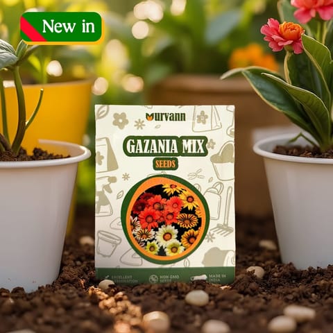 Gazania Seeds – GMO Free | Excellent Germination | Easy to Grow | Vibrant Blooms