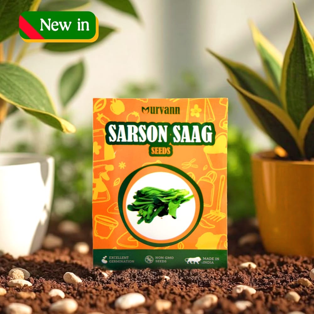 Sarso Saag Seeds – GMO Free | Excellent Germination | Easy to Grow | Disease Resistance - for veggies