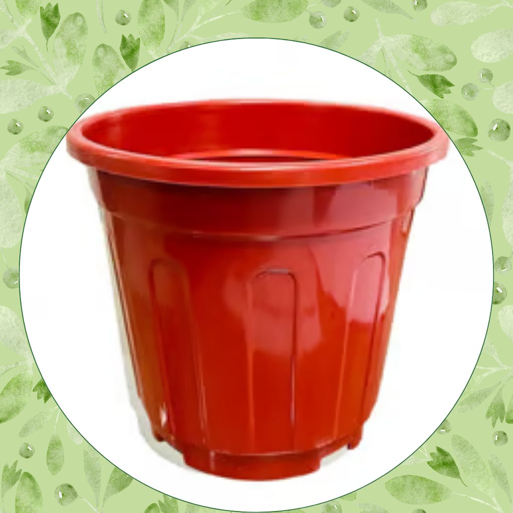 Free Gift - 6 Inch Red Super Nursery Pot - Flash Sale
