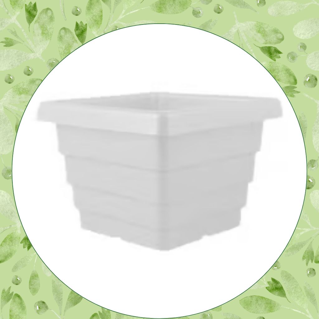 Free Gift - 4 Inch White Marble Premium Orchid Square Plastic Pot - Flash Sale Free Gift - 4 Inch White Marble Premium Orchid Square Plastic Pot - Flash Sale