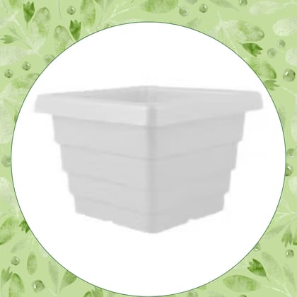 Free Gift - 4 Inch White Marble Premium Orchid Square Plastic Pot - Flash Sale