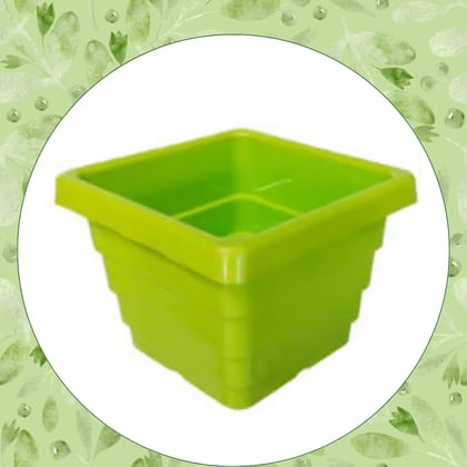 Free Gift - 4 Inch Green Premium Orchid Square Plastic Pot - Flash Sale