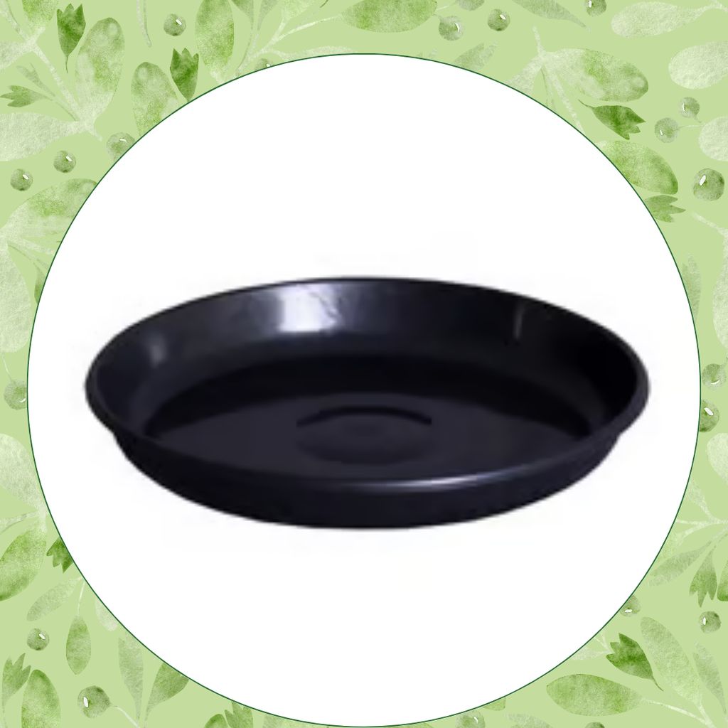 Free Gift - 6 Inch Black Premium Black Tray - To keep under the Pot - Flash Sale