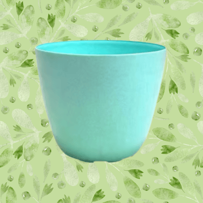 Free Gift - 4 Inch Blue Marble Premium Orchid Round Plastic Pot - Flash Sale