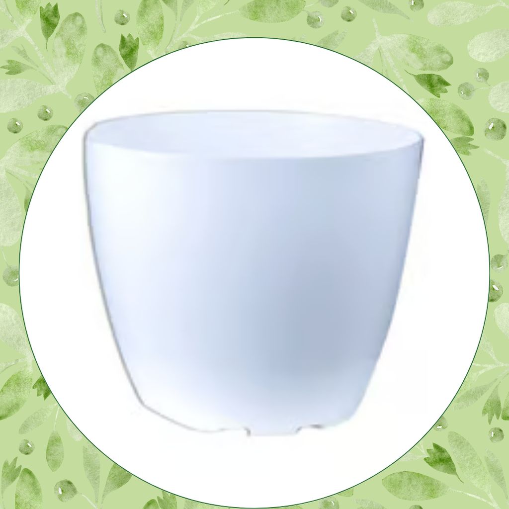 Free Gift - 4 Inch White Premium Orchid Round Plastic Pot - Flash Sale Free Gift - 4 Inch White Premium Orchid Round Plastic Pot - Flash Sale