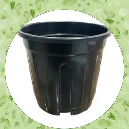 Free Gift - 6 Inch Black Super Nursery Pot - Flash Sale