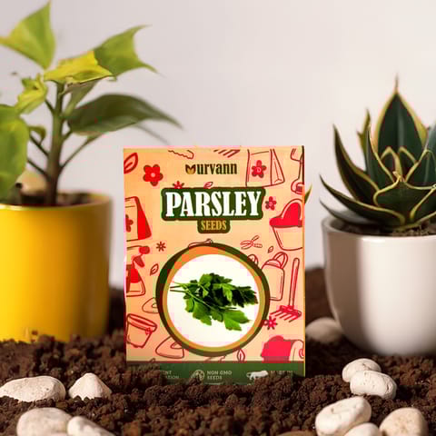 Parsley Seeds - GMO Free | Excellent Germination | Easy to Grow | Hand Picked