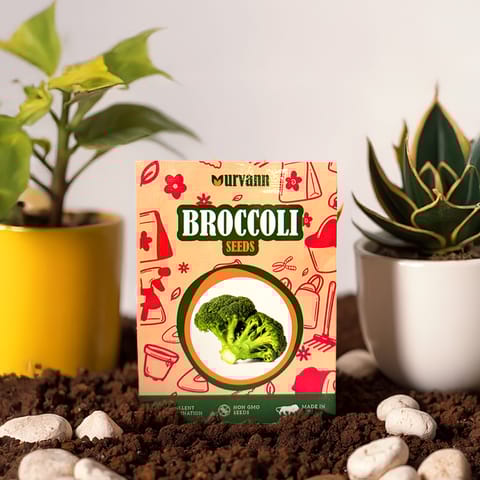 Broccoli Seeds - GMO Free | Excellent Germination | Easy to Grow | Hand Picked