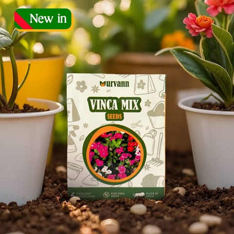 Vinca Mixed Seeds - GMO Free | Excellent Germination | Easy to Grow | Vibrant Blooms